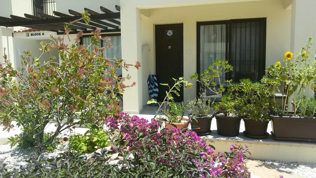 Faros Beach Paphos Exterior photo